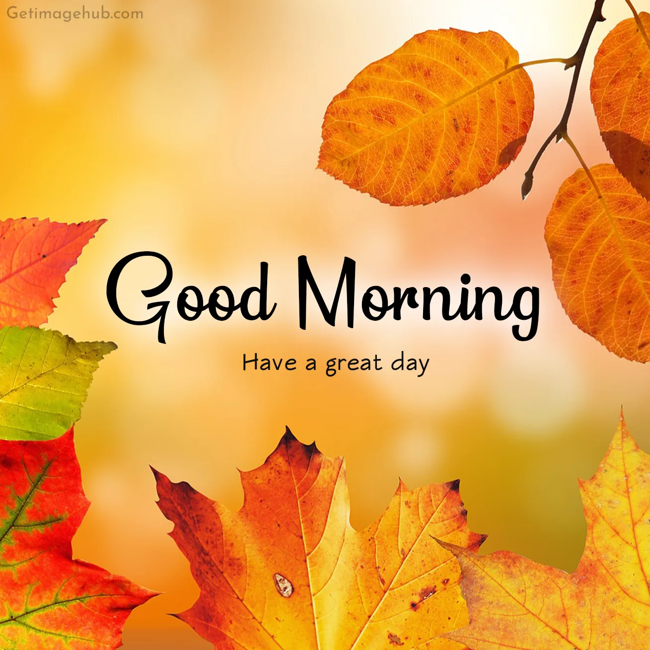 Good Morning Fall Picture