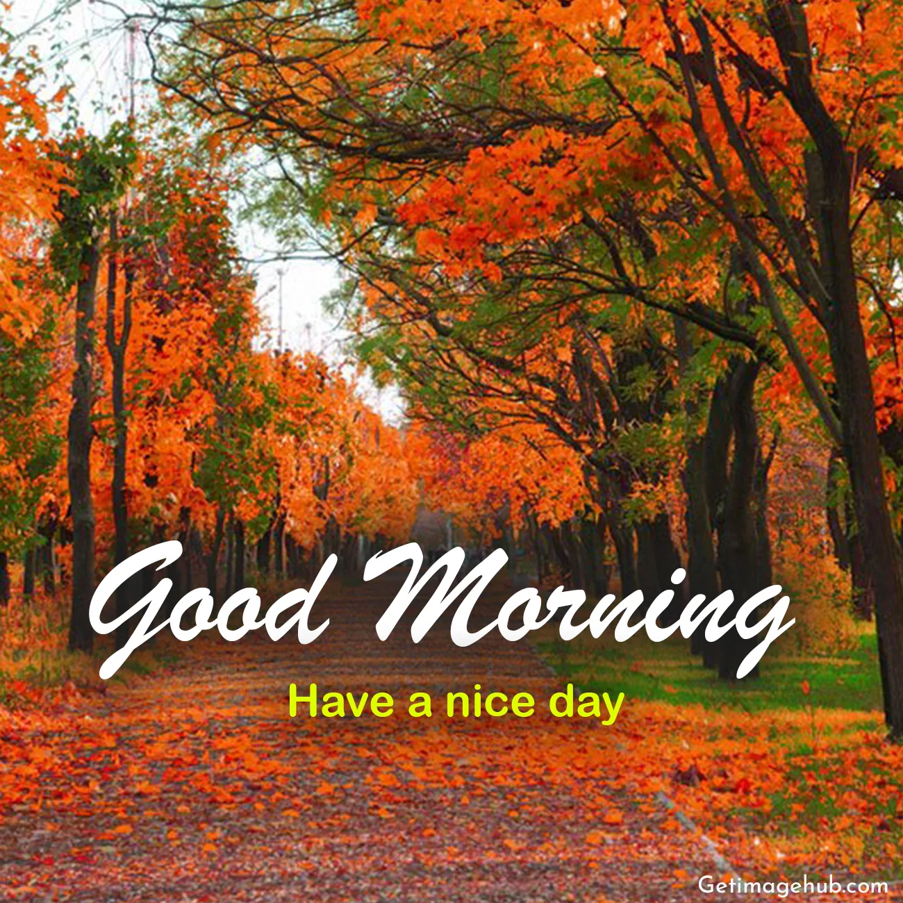 Good Morning Fall Pictures