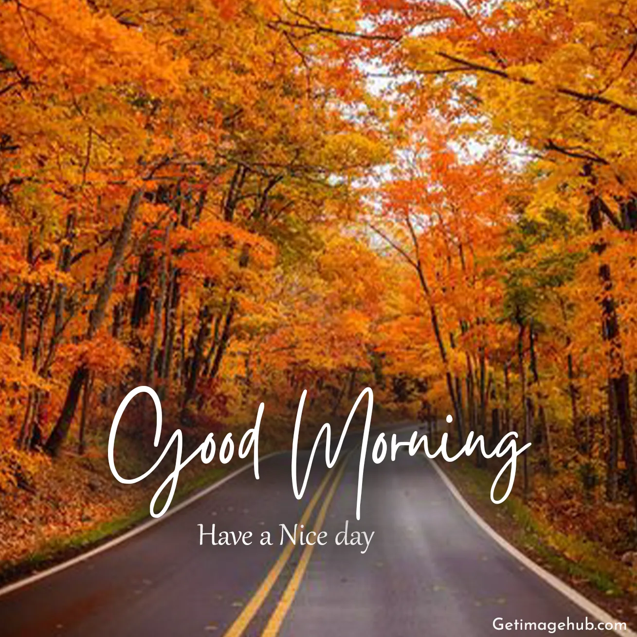 Good Morning Fall Pictures New