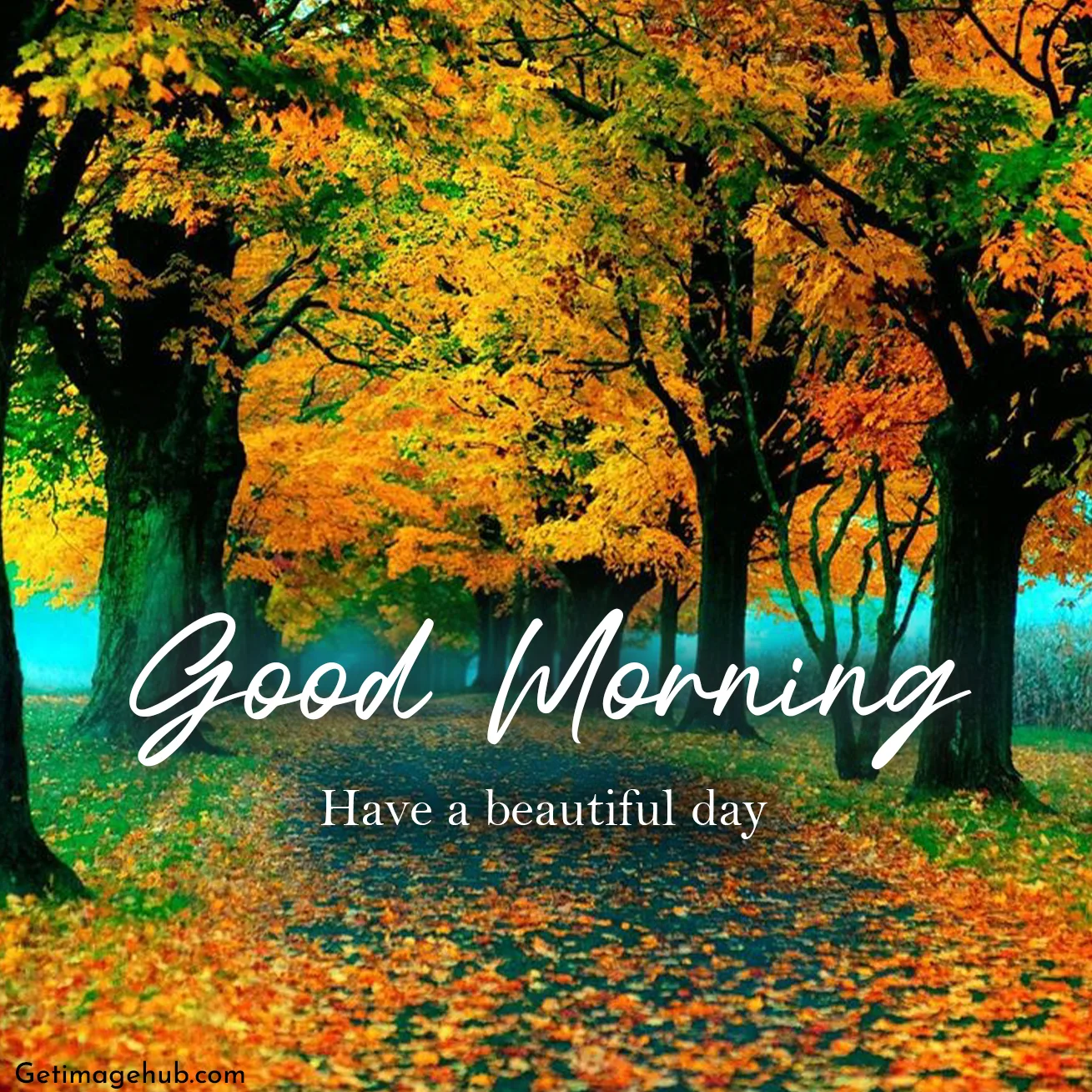 Good Morning Fall Pictures