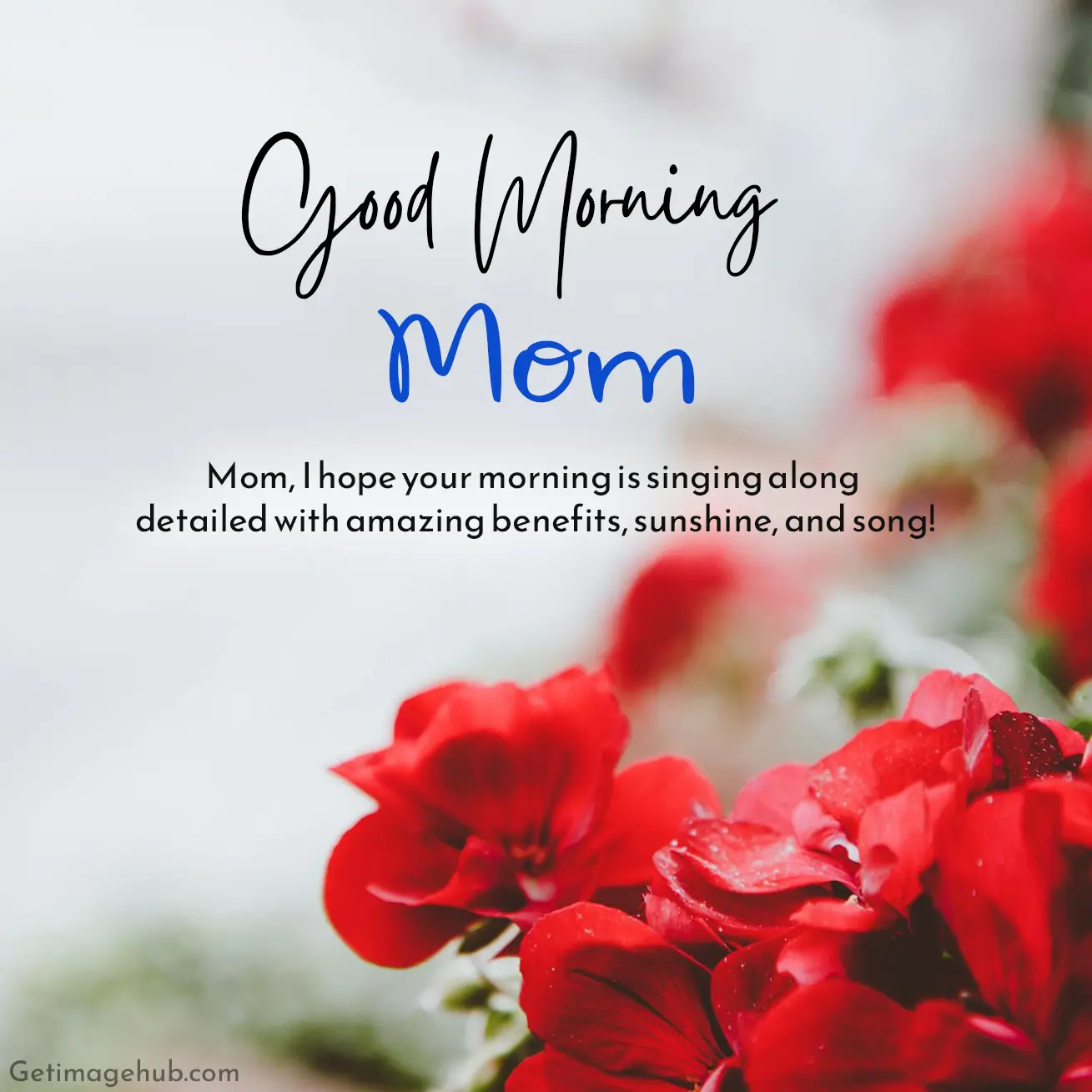 Good Morning Mom Wishes