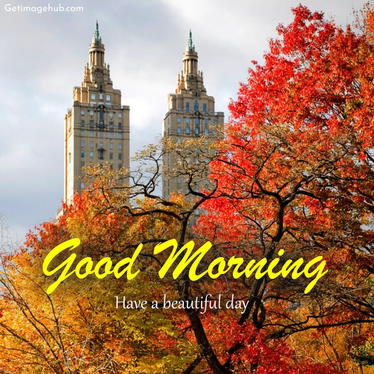 New Good Morning Fall Images 2024