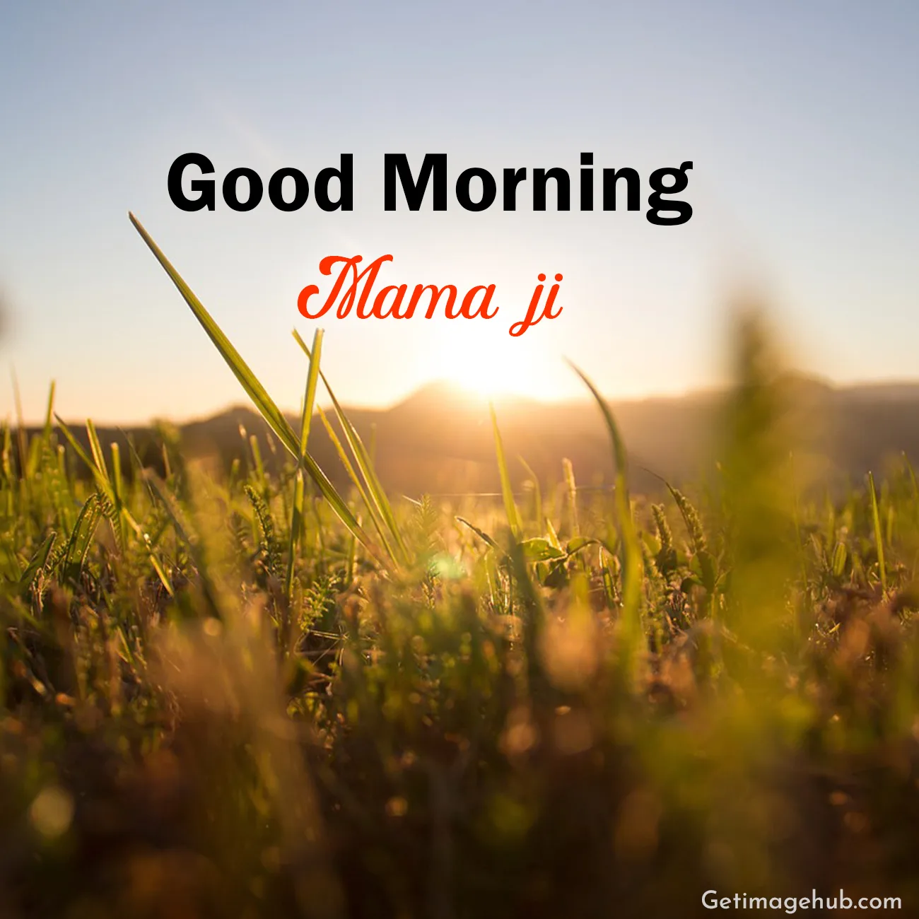 Good Morning Mamu Images 2024