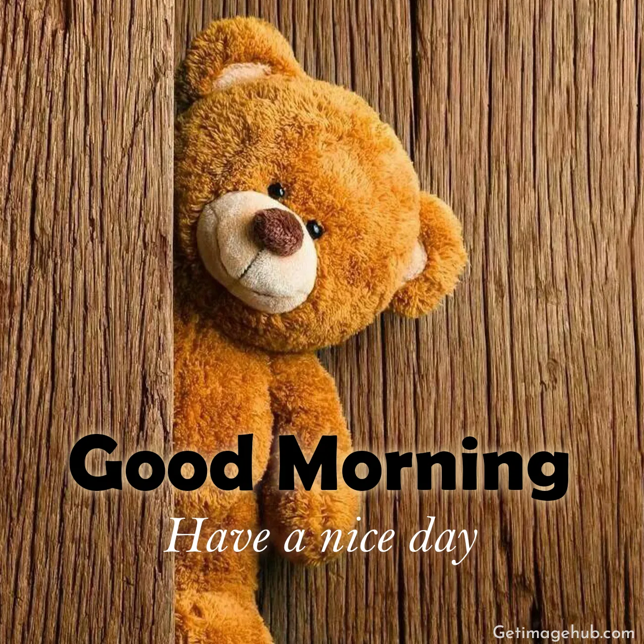 Good Morning Teddy Photos