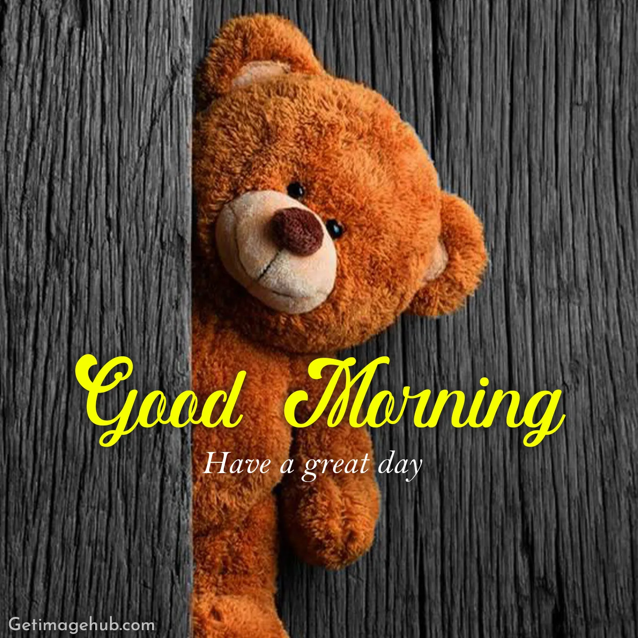 Good Morning Teddy Picture 2024