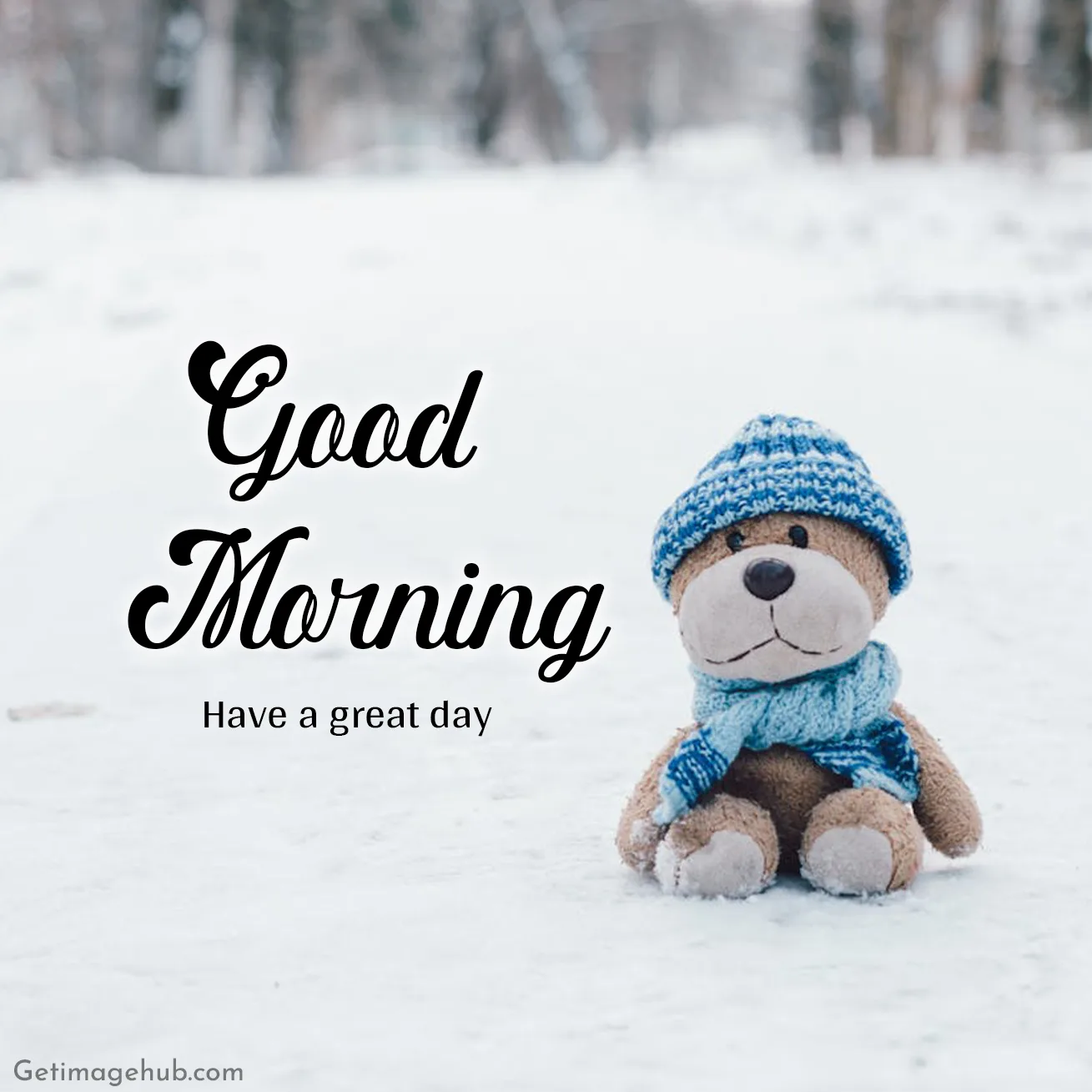 Good Morning Teddy Pictures