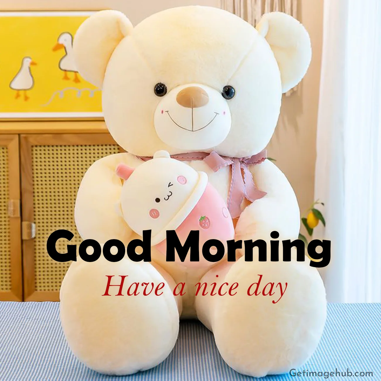 Good Morning Teddy Pictures
