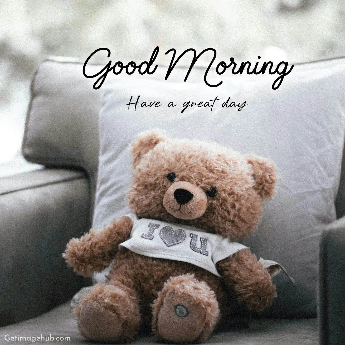 New Good Morning Teddy Pictures