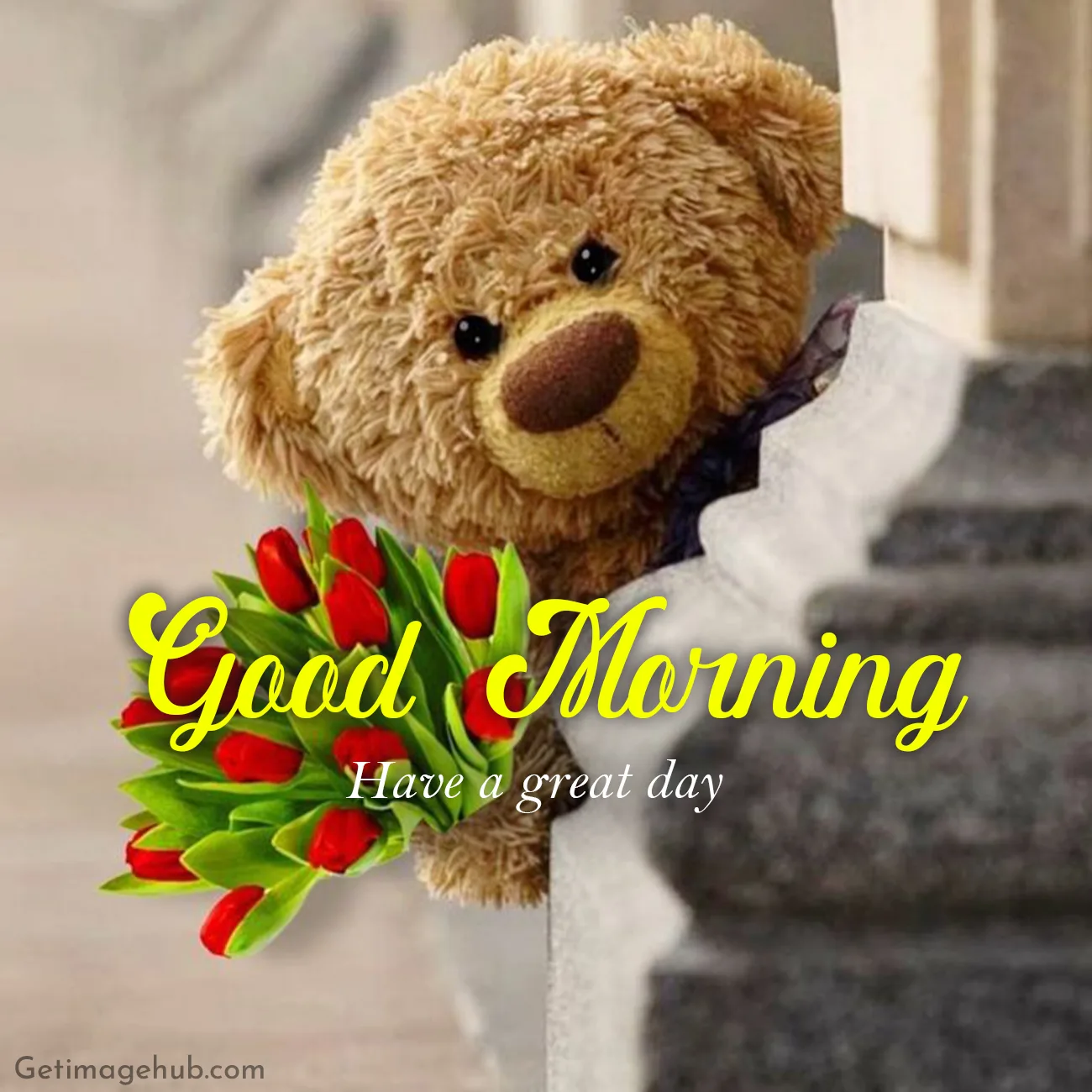 New Good Morning Teddy